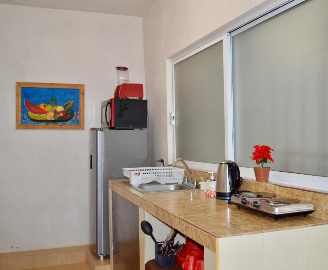 Casa Del Cono Aparthotel Кабо Сан Лукас Екстериор снимка